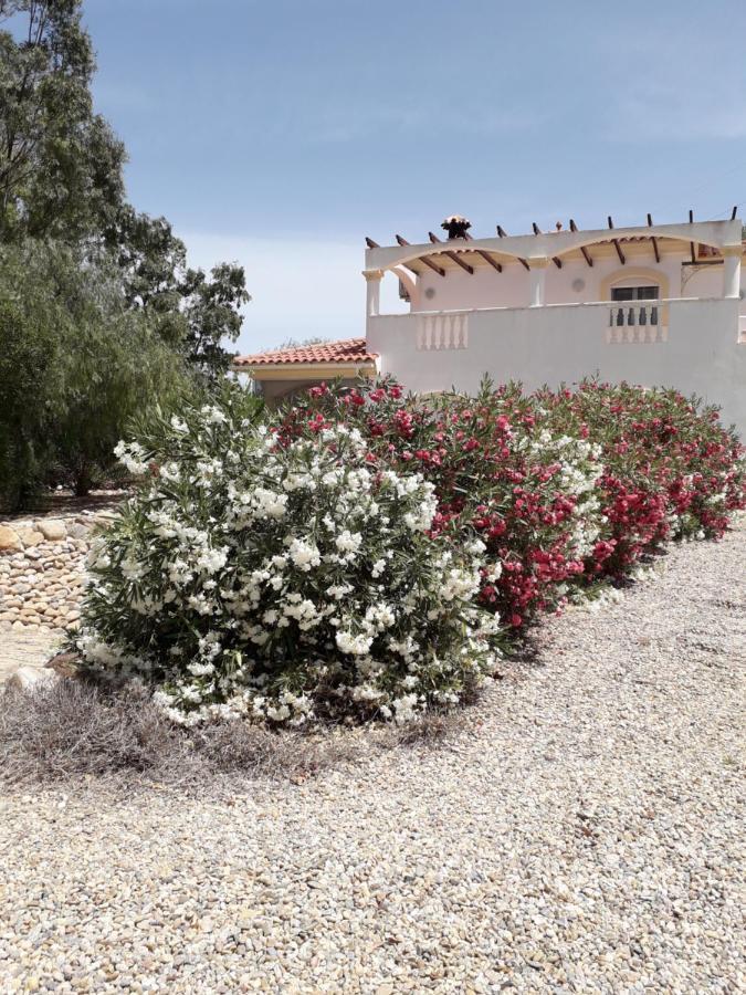 Casa Gregory Villa Туре Екстериор снимка